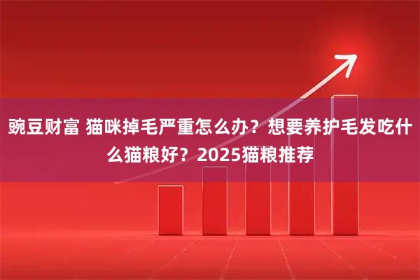 豌豆财富 猫咪掉毛严重怎么办？想要养护毛发吃什么猫粮好？2025猫粮推荐