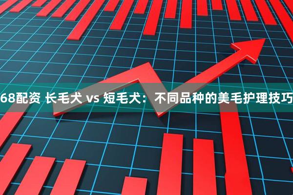 68配资 长毛犬 vs 短毛犬：不同品种的美毛护理技巧