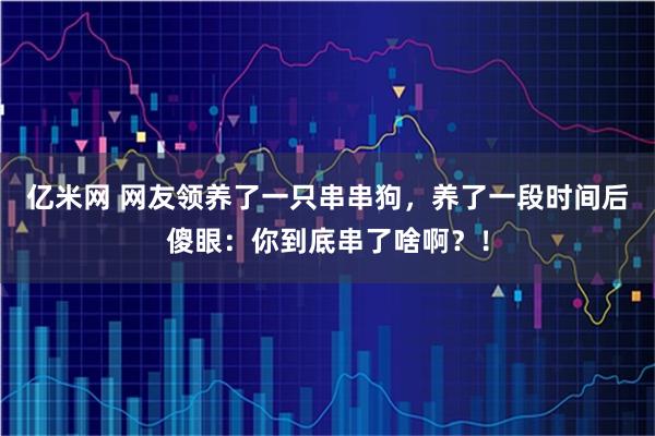 亿米网 网友领养了一只串串狗，养了一段时间后傻眼：你到底串了啥啊？！