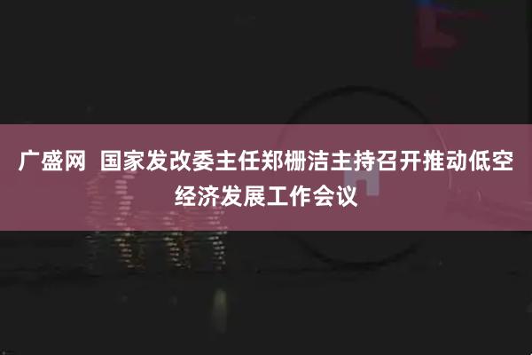 广盛网  国家发改委主任郑栅洁主持召开推动低空经济发展工作会议