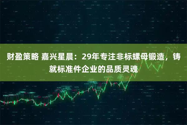 财盈策略 嘉兴星晨：29年专注非标螺母锻造，铸就标准件企业的品质灵魂