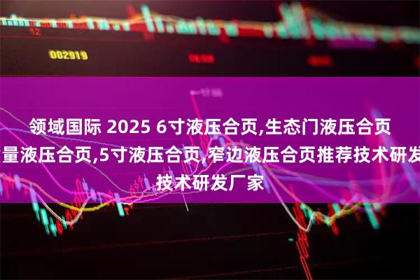 领域国际 2025 6寸液压合页,生态门液压合页,高质量液压合页,5寸液压合页,窄边液压合页推荐技术研发厂家