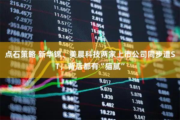 点石策略 新华锦、美晨科技两家上市公司同步遭ST，背后都有“猫腻”