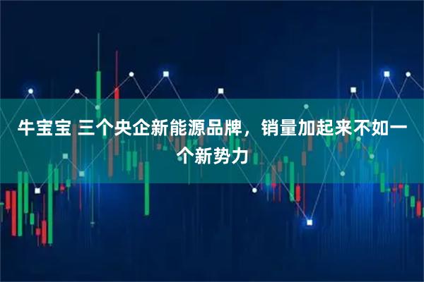 牛宝宝 三个央企新能源品牌，销量加起来不如一个新势力