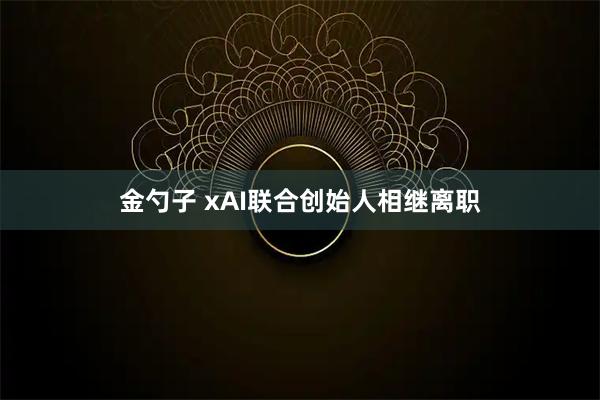 金勺子 xAI联合创始人相继离职