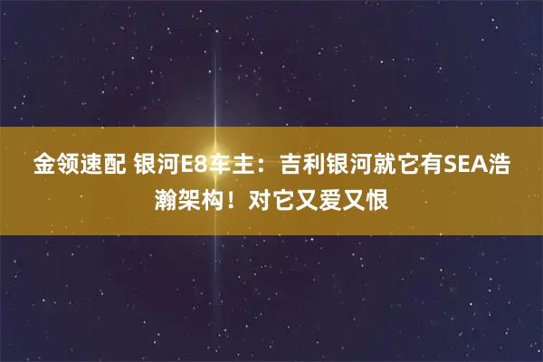 金领速配 银河E8车主:吉利银河就它有SEA浩瀚架构!对它又爱又恨