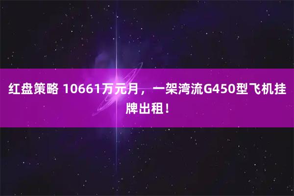 红盘策略 10661万元月，一架湾流G450型飞机挂牌出租！